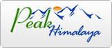 Peak Logo