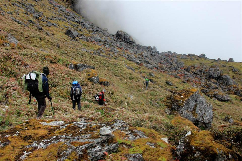 Newly Opened Treks