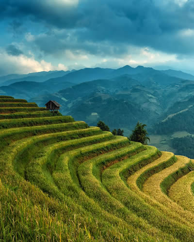 India