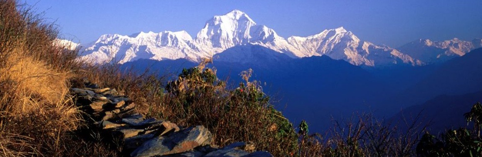 Ghorepani Poonhill Trek