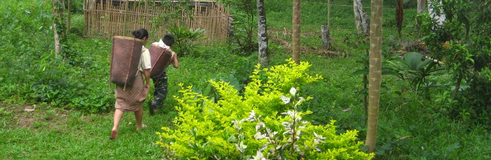 Indigenous Peoples Trek