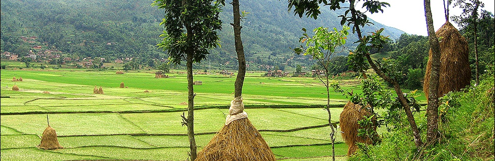 Chisapani- Nagarkot-Dhulikhel trek