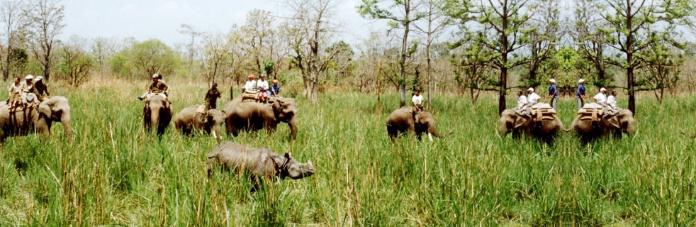 Royal Chitwan National Park