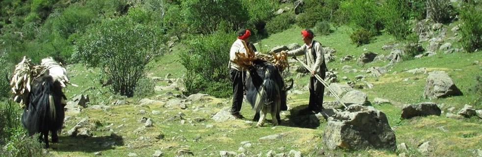 Ganden- Samye Trek