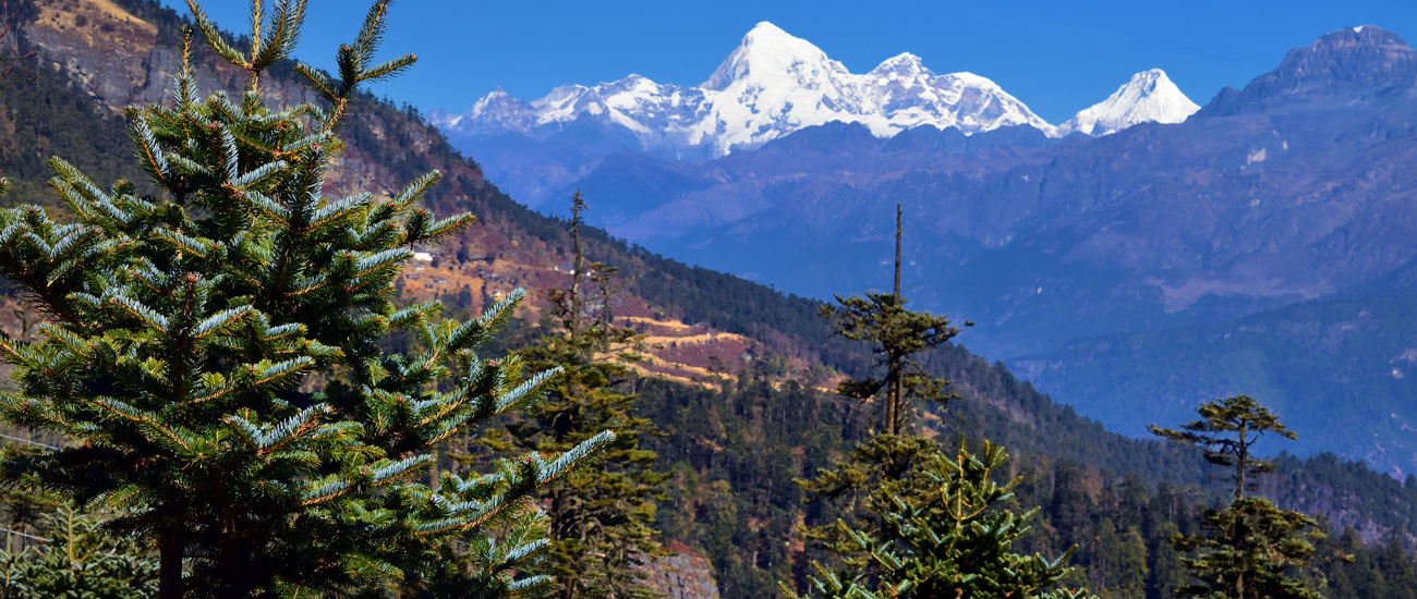 Sinchula Trek